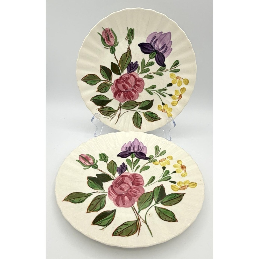 2 Blue Ridge Southern Pottery 9.5" Plate Floral Country Cottage Hand Made GC